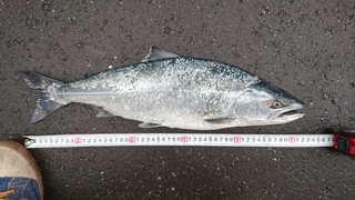 image1.jpeg