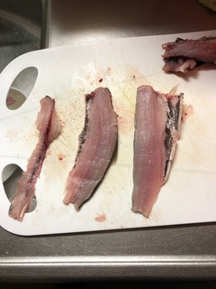 image1.jpeg