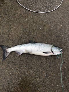 image1.jpeg