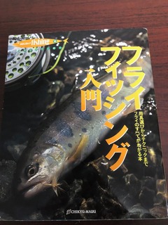 image1.jpeg