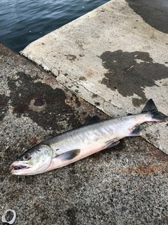 image1.jpeg