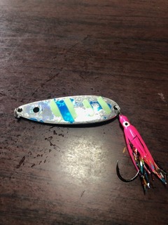 image1.jpeg
