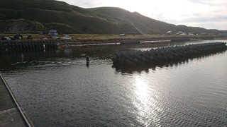 image1.jpeg