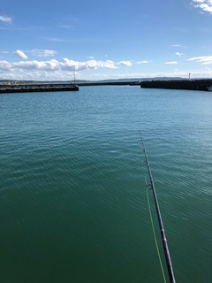 image1.jpeg