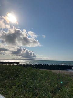 image1.jpeg
