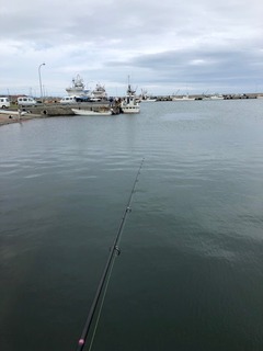 image1.jpeg