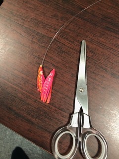 image1.jpeg