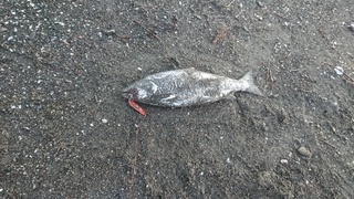 image2.jpeg