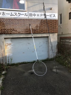 image4.jpeg