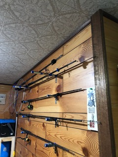 image5.jpeg