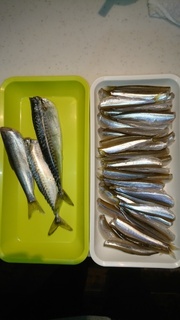 image7.jpeg